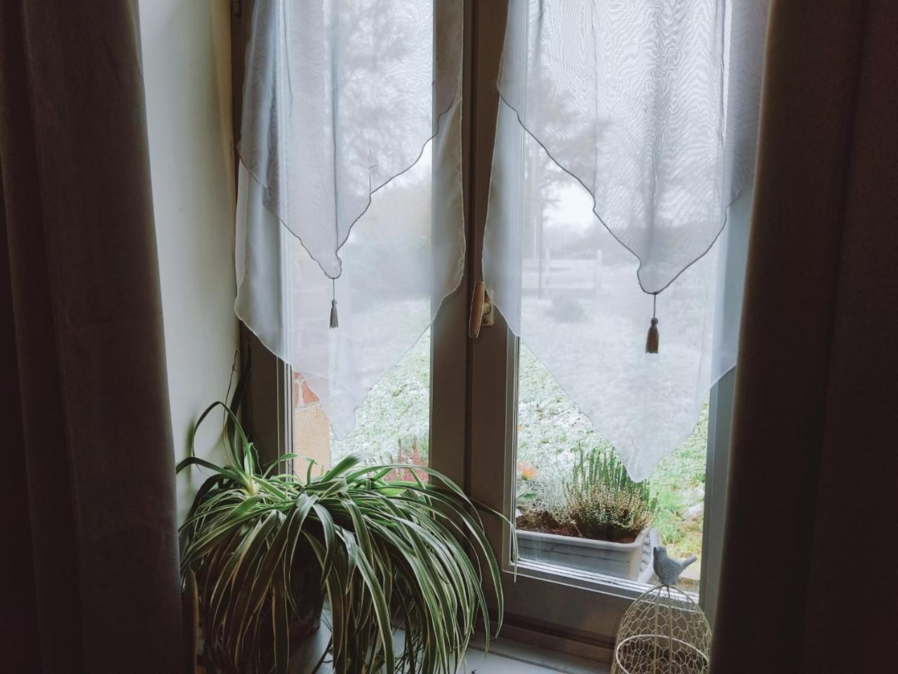 Saint-Bonnet-de-Four Chez Christy Chemin Des Dinots Bed & Breakfast 部屋 写真